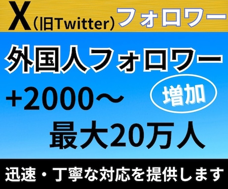 X・旧Twitterの外国人フォロワーを増加します 減少率10%未満！Xフォロワー2000増加！30日減少保証！ イメージ1