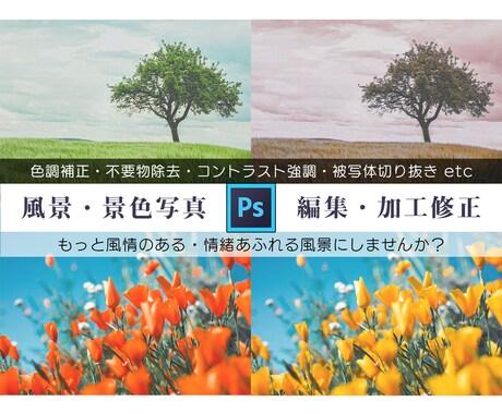 風景レタッチ♪不要物除去・色調補正・修正を承ります 雰囲気のある1枚に♪修正・加工・補正・不要物除去はお任せ♪ イメージ1