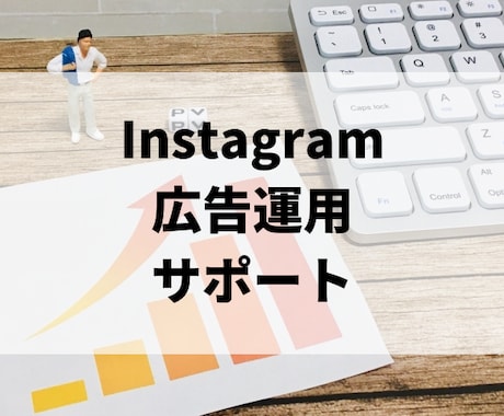 丸投げOK,Instagram広告運用代行します 目的(集客、売上)に沿った、広告成果最大化 イメージ1