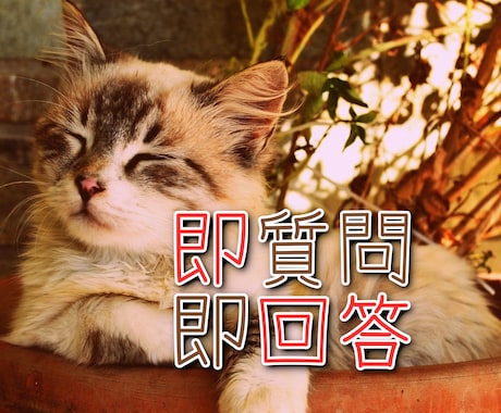 即問即答！悩み事に、イエス・ノー＋理由で回答します 可能な限り早く回答します。待機中なら原則即日回答します。 イメージ1
