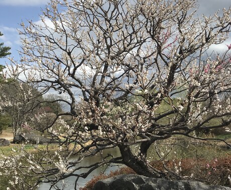 現役の大学生の立場から悩み相談に乗ります 悩みがある人、相談相手になります イメージ1