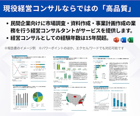 ビジネス向けプレゼン・パワーポイント資料作成します 外資系コンサル歴15年・支援実績1500件超の現役コンサル イメージ2