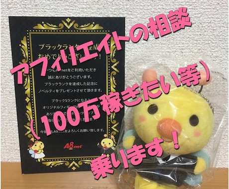 アフィリエイトの相談（100万稼ぎたい等）乗ります 苦節5年、A8でブラックになるまでの軌跡からのアドバイスです イメージ1