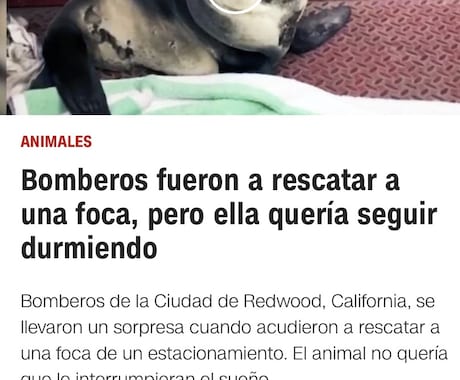 格安！スペイン語翻訳致します スペイン語ネイティブを親に持つ独学勉強生がスペイン語翻訳 イメージ1