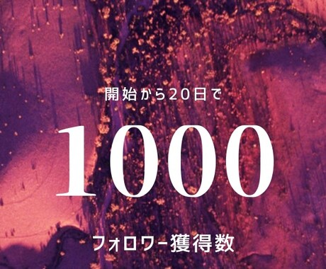 Twitterコンサルであなたの運用加速させます 20日でフォロワー1000名を達成した僕のノウハウ授けます イメージ1