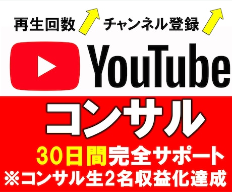 あなたのYoutubeチャンネルをコンサルします 登録者4万人越えの現役YouTuberの直接コンサル イメージ1