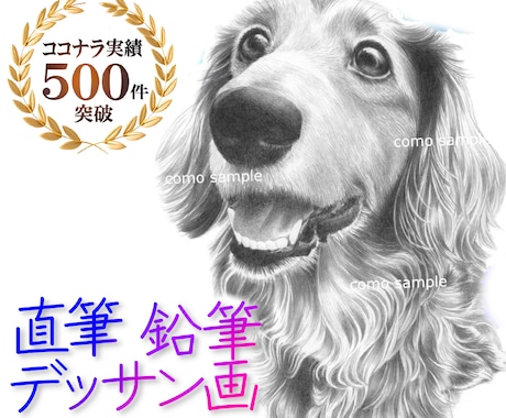 ハイクオリティなペット似顔絵を、鉛筆で手描きします イメージ1