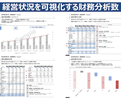 経営状況を可視化するための財務分析致します 過年度財務分析により、経営課題を明確にします イメージ1
