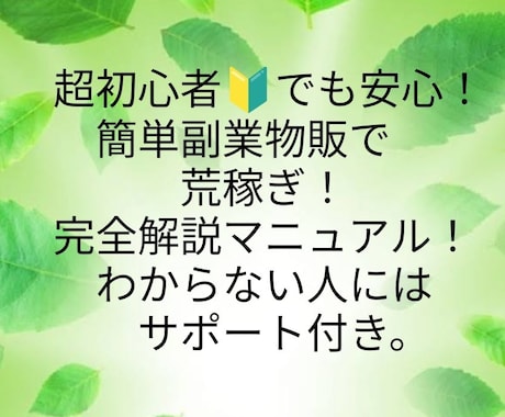 超初心者向け！簡単副業物販で荒稼ぎします 超めんどくさがりですぐ結果を出したい人向けノウハウです！ イメージ1