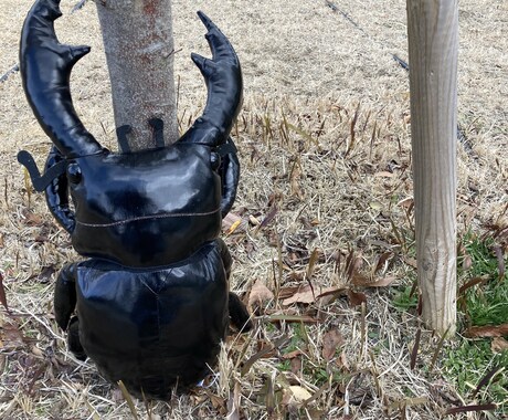 悩み愚痴なんでも聞きます クワガタ虫のテコの原理の要領で マイナスからプラスへ イメージ2