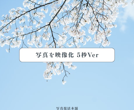 故人AI｜あなたの⼤切な写真を映像化します 故人の思い出を鮮やかに蘇らせる遺族向けサービス（5秒Ver） イメージ2