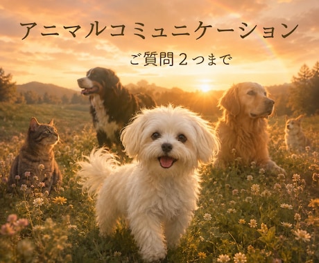 心に寄り添うアニマルコミュニケーションをします 〜【ご質問2つまで】ペットロス、今を生きるペットさんに〜 イメージ1