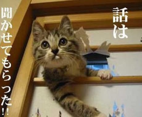 質問３個２０００円ペットの、通訳致します 動物、植物,石の話を聴きます＃アニマルコミュニケーター イメージ1