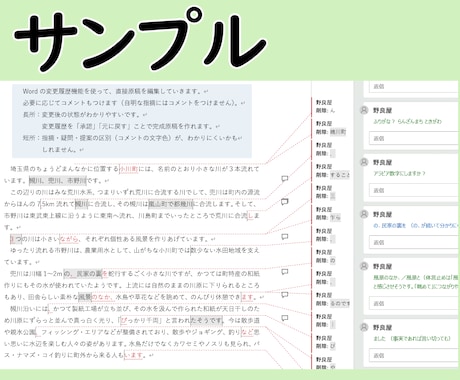 読者目線で内容にも踏み込んだ精読校正をします 理由付きだから納得感が違います｜先着10件・0.2円/字 イメージ2
