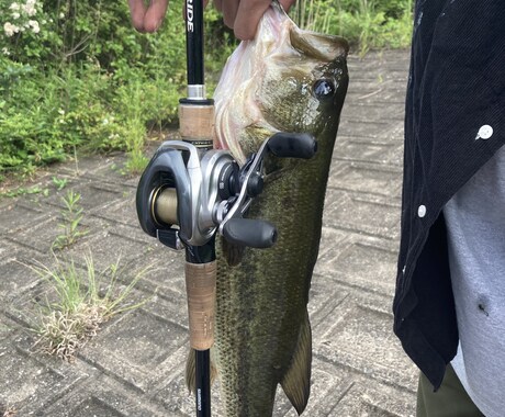 バス釣り秘密の野池教ます イメージ1