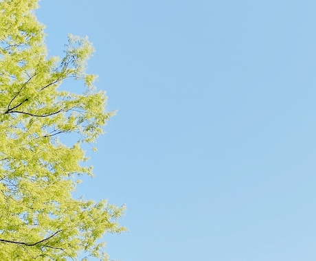 臨床心理士兼公認心理師がお話をお聞きします プロのカウンセリングを電話で気軽に体験することができます イメージ1