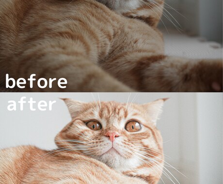 Photoshopで写真の色調補正、修正等承ります 最短即日！ご用命に沿った編集を！ イメージ2