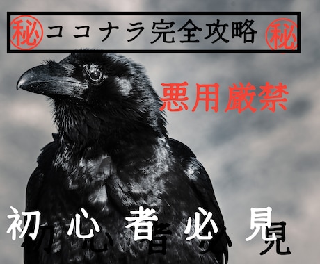 大特価⭐️ココナラ販売0から1への道のり教えます スマホで副業決定版☆プラチナランクまでの道のり攻略 イメージ1