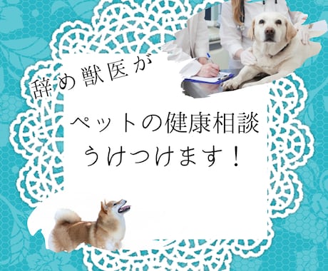 ペットの健康相談受付けます 動物病院で聞きづらいこと、聞いてみませんか？ イメージ1