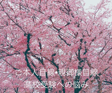高校受験についてご相談にのります 高校受験学年になった学生様、その親御様へ イメージ1