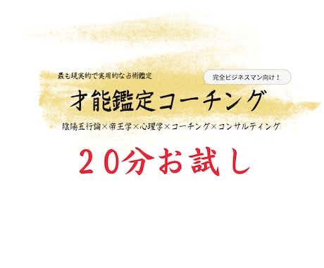 20分であなたのビジネスにおける能力がわかります お試しでビジネス才能鑑定を受けたい方へ イメージ1