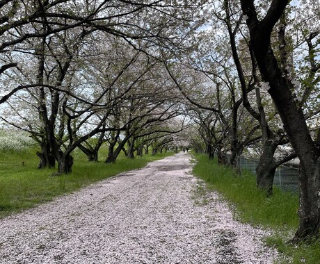 お相手様のお気持ちをお伝えします 現状のお相手様の貴方様に対するお気持ちを詳しく占います。 イメージ1