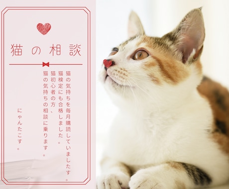 猫の気持ち聞きします 猫検定に合格した私が猫の相談にに乗ります♡ イメージ1