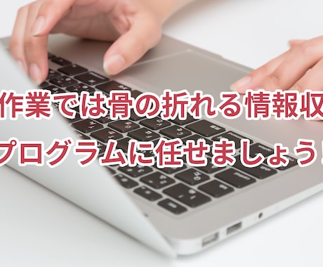 スクレイピングいたします 大量の情報は手作業ではなくプログラムに任せましょう イメージ1