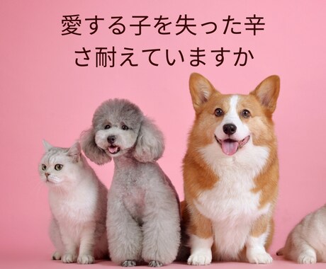 旅立ったあのコとあなたの絆をより深く結びます 亡くなったペットの夢の意味？生まれ変わり？本当の虹の橋意味？ イメージ2
