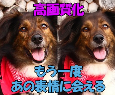 大切なあの子の思い出を、高画質化します 写真のあの子、ぼやけたまま残しますか？ イメージ1