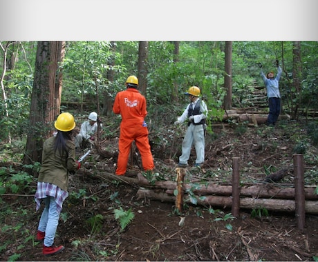 森林整備ボランティアツアー体験ます 森林整備ボランティアツアー体験 イメージ2