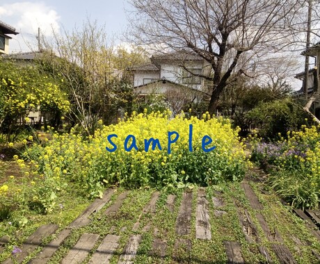 風景写真を提供します 季節の花の風景写真をjpgで提供します イメージ1