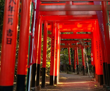 運命は好転できます 500円で易占いと簡単な霊視を行いアドバイスし ます イメージ1