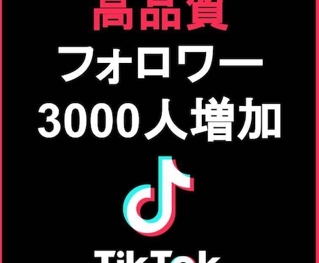 TikTokのフォロワー3000人増やします TikTokをユーザーへ拡散！+3000人増加します イメージ1