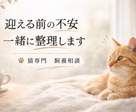 猫 専門 ペットを迎える前の相談承ります 終生飼養の視点で、犬猫飼養アドバイザーが一緒に整理します イメージ1