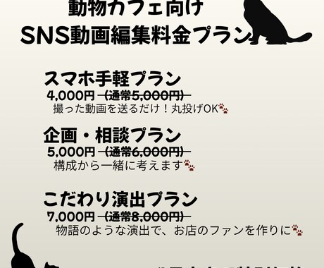 猫カフェ・犬・小動物も！集客に繋がる動画編集します 「この子に会いたい！」を引き出す、動物カフェ動画 イメージ2