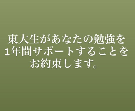 1年間東大生があなたの受験のサポートをします 勉強計画や勉強管理など1年間かけてサポートいたします。 イメージ1