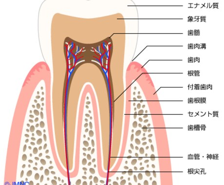歯科業界未経験の方、分からない事教えます 基本的な事が分からない！そんなあなたへ イメージ1