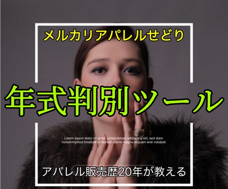 レディースアパレルせどり/年式判別方法教えます アパレル販売歴20年が作ったメルカリせどり年式判別ツール イメージ1