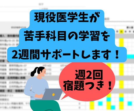 現役医学生が苦手科目の学習を２週間サポートします 定期テスト対策やお試し用にオススメ イメージ1