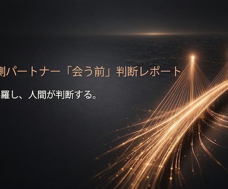 中国バートナー事前調査＆ビジネス適性チェックます イメージ1
