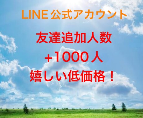 LINE公式アカウントの友達を1000人増やします 即日対応、安心価格！なんでも質問できるトークルーム イメージ1