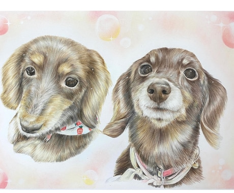 色鉛筆似顔絵肖像画描きます 世界に１つだけの愛犬、愛猫の似顔絵を原画でお渡します。 イメージ1
