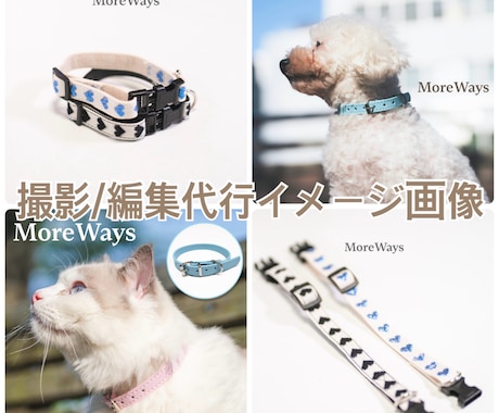 カメラマンによる商品撮影/画像の編集代行を行います 商品撮影/編集代行 1商品(1商品10枚まで)　16000円 イメージ2