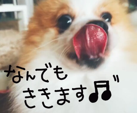 なんでも聞きます 5分でも10分でも1時間でもどんなことでも♬ イメージ1