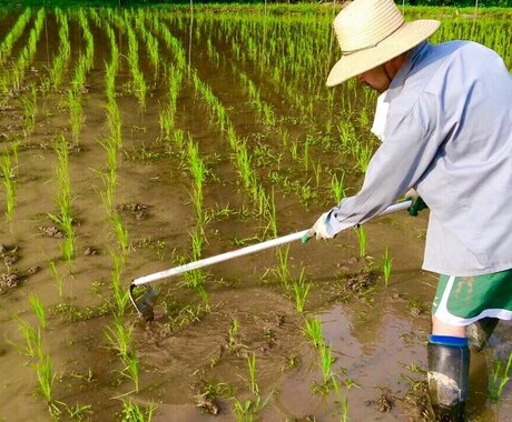 これから田舎暮らしをしたい方にアドバイスします 田舎暮らしに興味があり、情報を得ておきたい方へ。 イメージ2