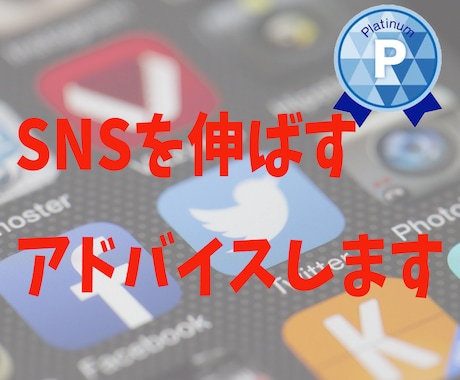 SNSに関するアドバイスお受けします プラチナランクの拡散屋があなたのSNSを育てる秘訣を教えます イメージ1