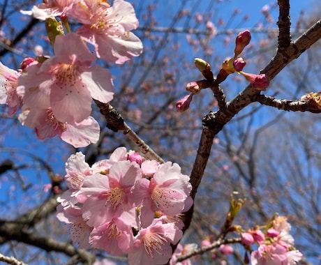 転職回数が多い方でも年収UPで転職する方法教えます 過去15年、転職の度に年収をアップさせてきた就活法を伝授 イメージ1