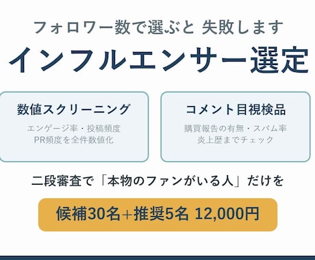 数値と目視でインフルエンサーを選定します イメージ1