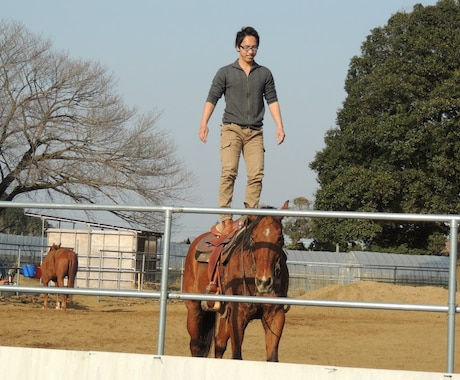 馬に乗りたい・馬と遊びたい方へ、あなたに合った乗り方や場所をアドバイスします（外乗情報も多数有） イメージ2